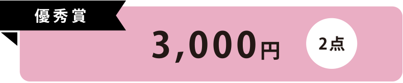 優秀賞 2点 3,000円